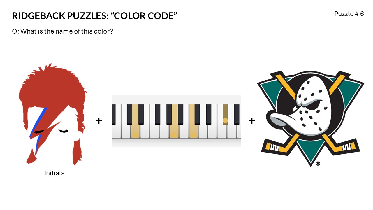 Ridgebacknet website CTF